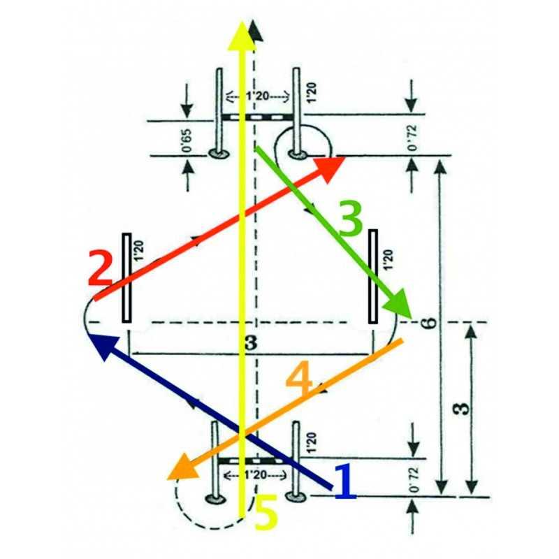 Circuito de Agilidad del CNP